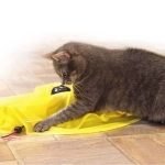 ⁦لعبة طبق ألعاب تفاعلية للقطط من البلاستيك للحيوانات الأليفة قابلة للدوران⁩ - الصورة ⁦5⁩