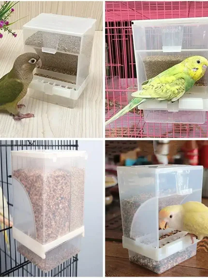 معلفة للطيور اتوماتيك وسط