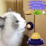 حلوى القط ، حلوى لعق القط .