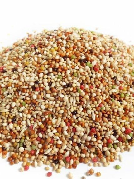 طعام للبادجي ( طيور الحب ) 1 كيلو