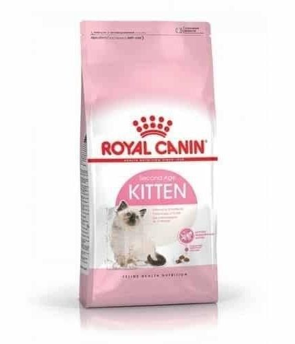 رويال كانين كيتن طعام القطط الصغيرة الجاف