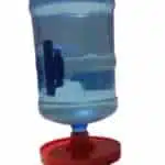 سقايه دبه للطيور