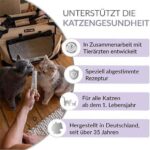 ⁦جمي كات مكملات للقطط، توازن معجون الاسترخاء 50 غ⁩ - الصورة ⁦2⁩