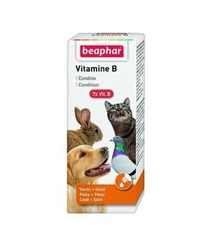 بيفار فيتامين ب لجميع أنواع الحيوانات الأليفة