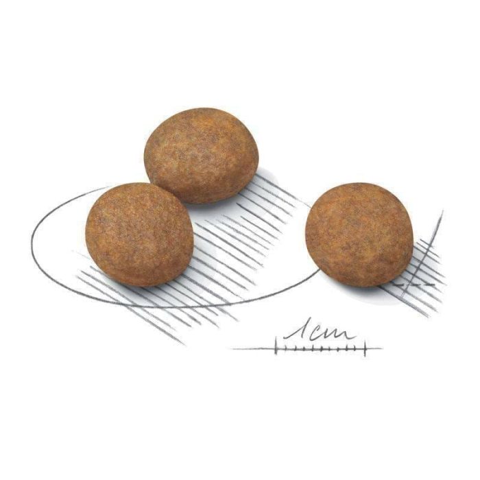 ⁦رويال كانين طعام الكلاب ماكسي جونيور 4 كج⁩ - الصورة ⁦3⁩