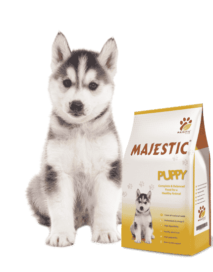 majestic طعام للكلاب الصغيرة 4 كيلو