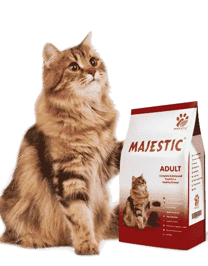 majestic طعام للقطط البالغة 1.2 كيلو