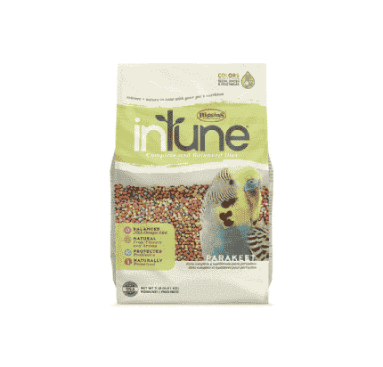 ان تون هارموني غذاء متكامل لطيور البادجي 910 غرام