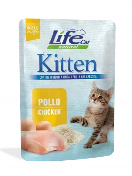 لايف كات اظرف بالدجاج للقطط الصغيرة