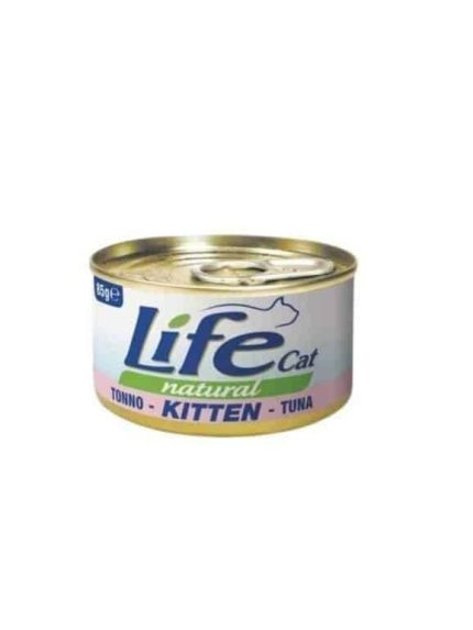 لايف كات اكل رطب قطط صغيرة بالتونة
