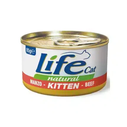 لايف كات اكل رطب قطط صغيرة باللحم