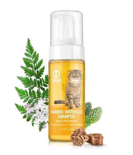 كات ايديا شامبو جاف للقطط برائحة القرنفل والصنوبر 100مل