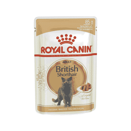 رويال كانين بريتش شورت هير 85 جرام