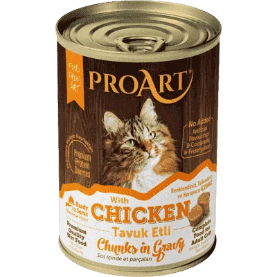 Wet food for adult cats