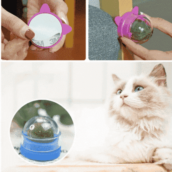 Cat nip ball 360 degree