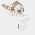 ⁦نافورة مياة للحيوانات 2.5 لتر⁩ - الصورة ⁦2⁩