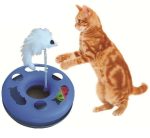 ⁦لعبة دائرية للقطط⁩ - الصورة ⁦2⁩