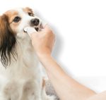 ⁦تريكسي مسحات للعناية بالاسنان 50 مسحه⁩ - الصورة ⁦4⁩