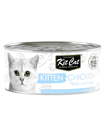 كت كات معلبات الدجاج للقطط الصغيرة80 جرام