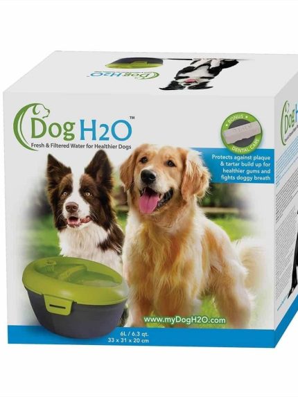 نافورة ماء كهربائية للقطط والكلاب مع منتج العناية بالاسنان حجم 6 لتر