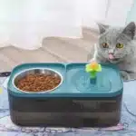 نافورة مياة وصحن طعام 2×1