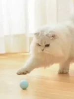 لعبة للقطط علي شكل كورة متحركة