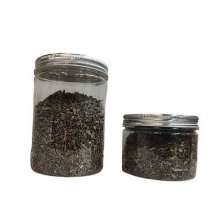 كات نيب للقطط