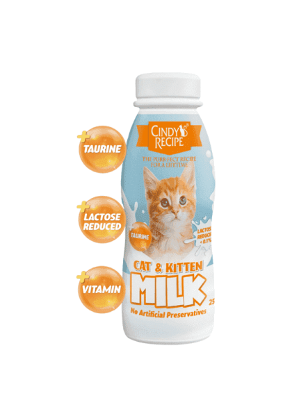 سيندي ريسبي حليب للقطط الصغيرة والكبيرة