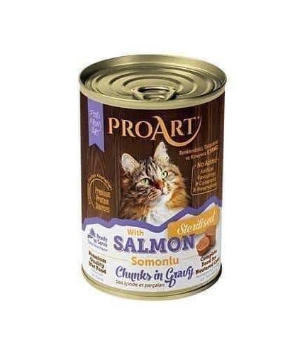 برو آرت طعام رطب للقطط المعقمة بطعم السلمون مع المرق 400 جرام