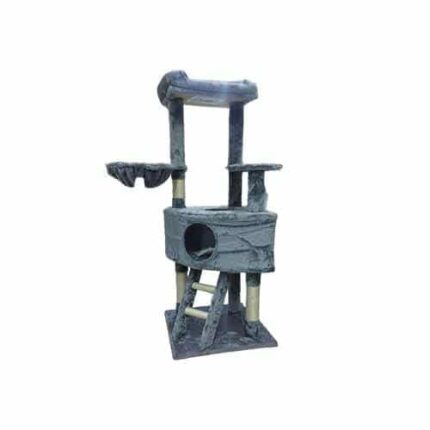 خداشة كبيرة للقطط