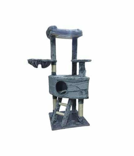 خداشة كبيرة للقطط