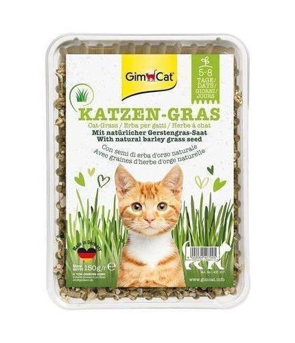 جيم كات عشب طبيعي للقطط كازن جراس 150 جرام