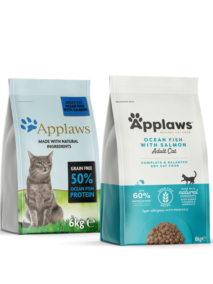 ابلاوز طعام جاف للقطط المعقمة