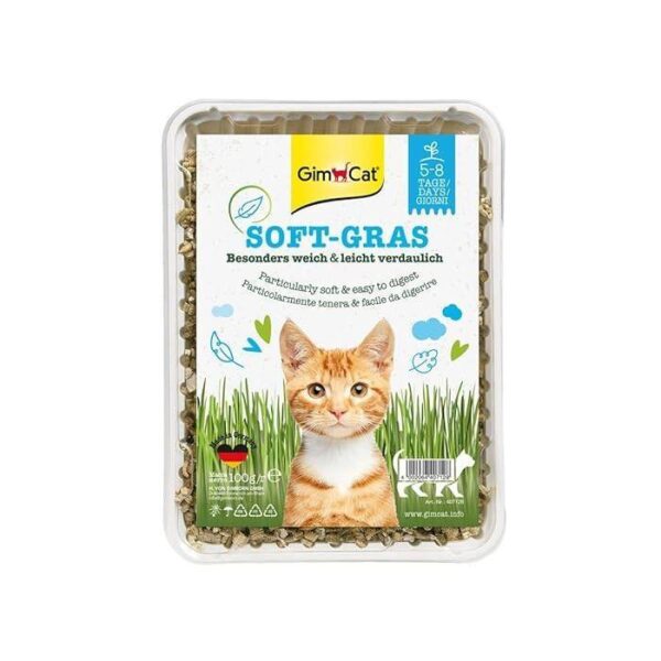 Gimborn Gimcat Hydro- Grass - Erba Gatta 150g