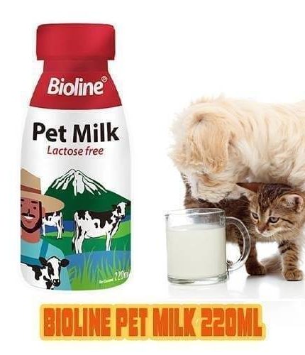 بايولاين حليب القطط الصغيرة والحوامل والمرضعة 220 ملل