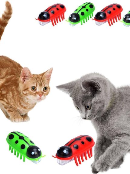 لعبة للقطط متحركة