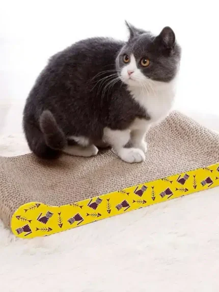 خداشة للقطط من الكرتون