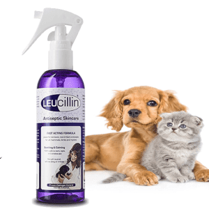 Leucillin Antiseptic Spray for Dogs, Cats and Horses 150ml