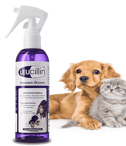 ليوسيلين بخاخ الفطريات للقطط والكلاب 150 ملل