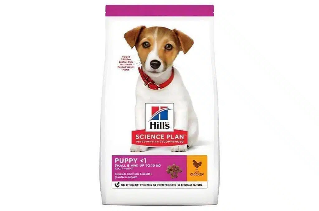 افضل طعام للكلاب الصغيرة - والطعام الضار لها