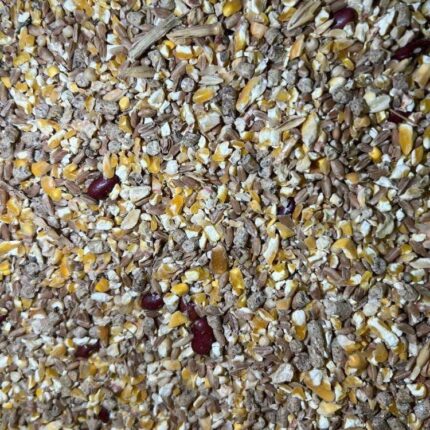 طعام مشكل للحمام 1 كيلو