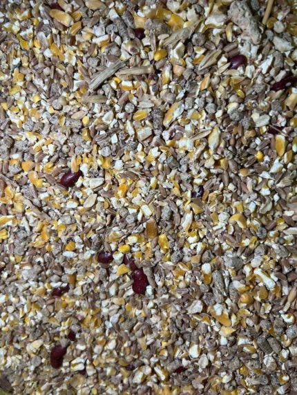 طعام مشكل للحمام 1 كيلو