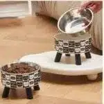 صحن طعام للقطط