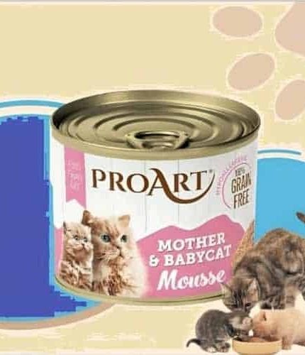 برو آرت طعام رطب لام والصغار بالدجاج المهروس 200 جرام