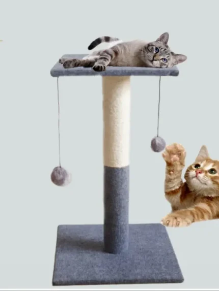 خداشة للقطط مع 2 كورة