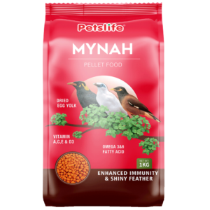 Mynah Bird Food