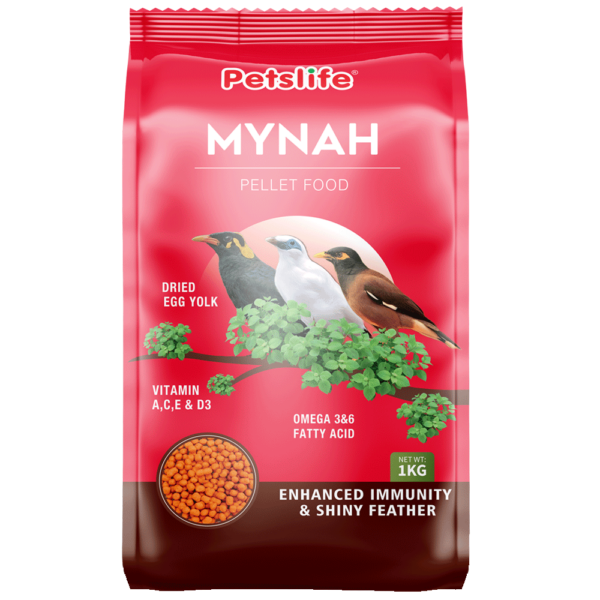 Mynah Bird Food