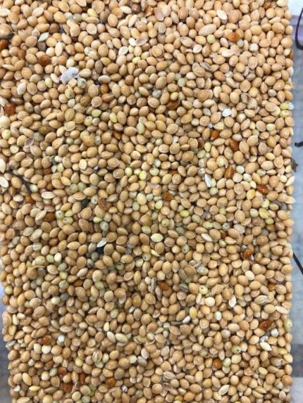 مليساء ( دخن ) للطيور 1 كيلو