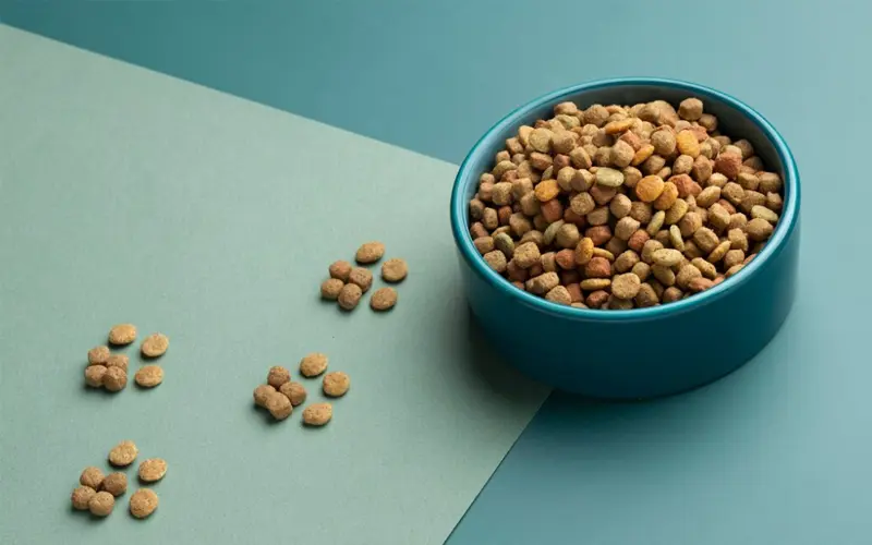 طعام القطط الجاف