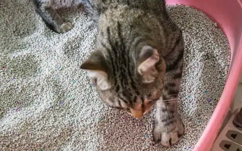 ازالة الروائح الكريهة من الصناديق